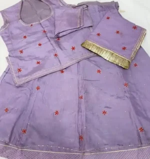 Upada silk  Aari Resham Handwork Poshak