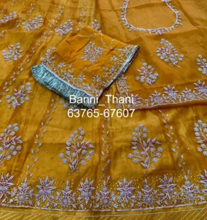 Organza Fabric Half Pure Odhna Poshak