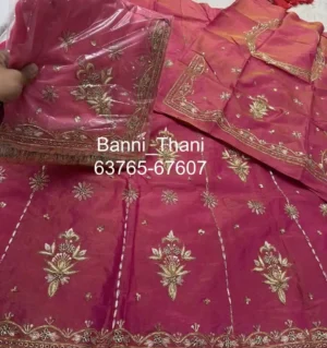 Tissue Fabric Pure Odhna Zardosi Handwork Poshak
