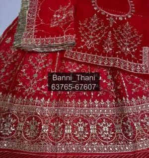 Organza Fabric Half Pure Odhna Poshak