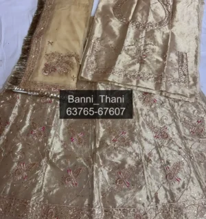 Tissue fabric Pyor odhna
Zardosi handwork Poshak