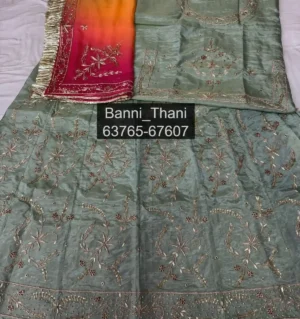 Tissue - Pure thakurji odhni handwork Poshak